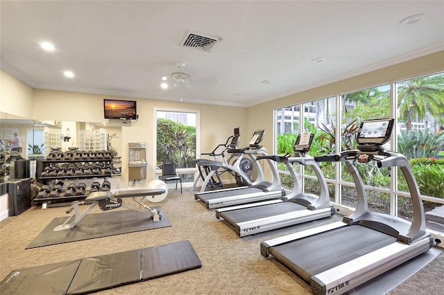 workout area featuring ceiling fan, carpet, and ornamental molding