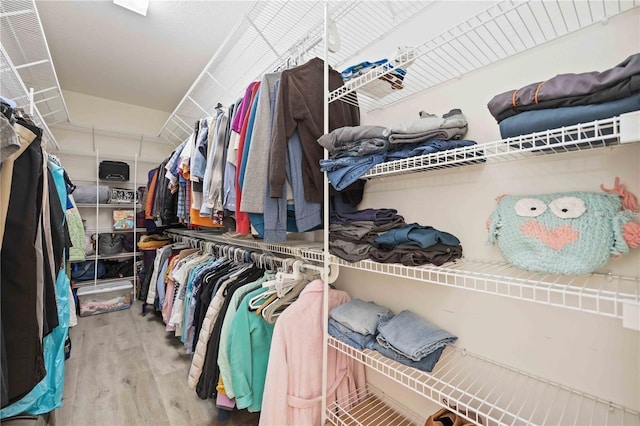 spacious closet with hardwood / wood-style floors