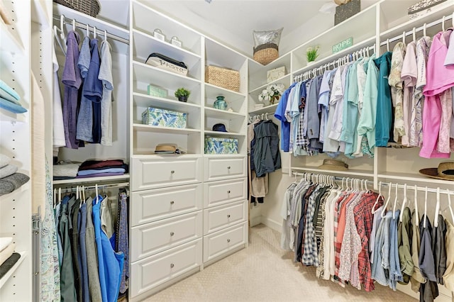 spacious closet with light colored carpet