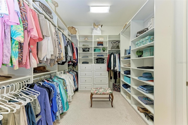 spacious closet featuring light carpet