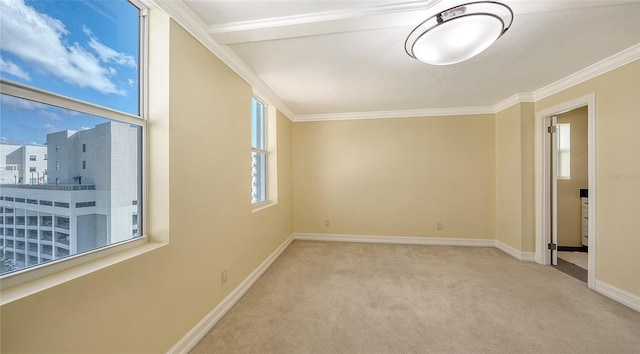 carpeted empty room with ornamental molding