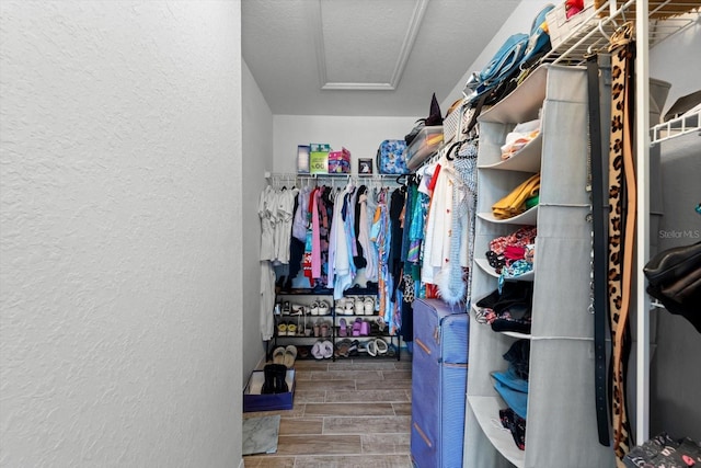 view of walk in closet