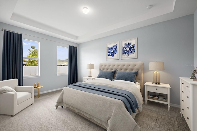 bedroom featuring carpet and a tray ceiling