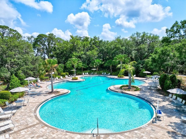 view of swimming pool featuring a patio area