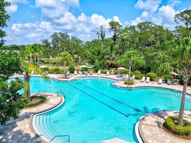 view of swimming pool with a patio area