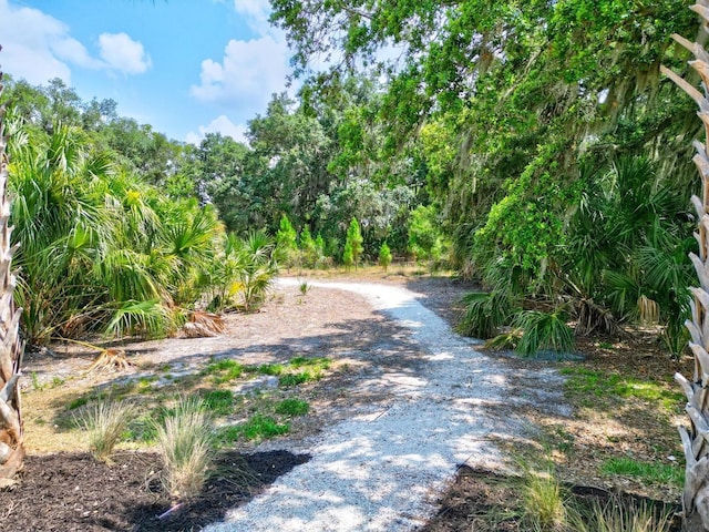 view of road