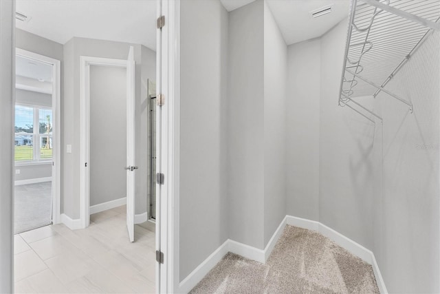 walk in closet with light colored carpet