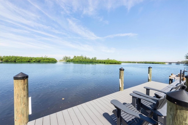 dock area featuring a water view