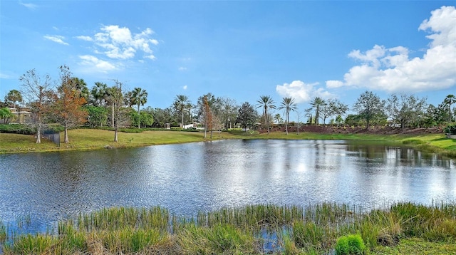 view of water feature