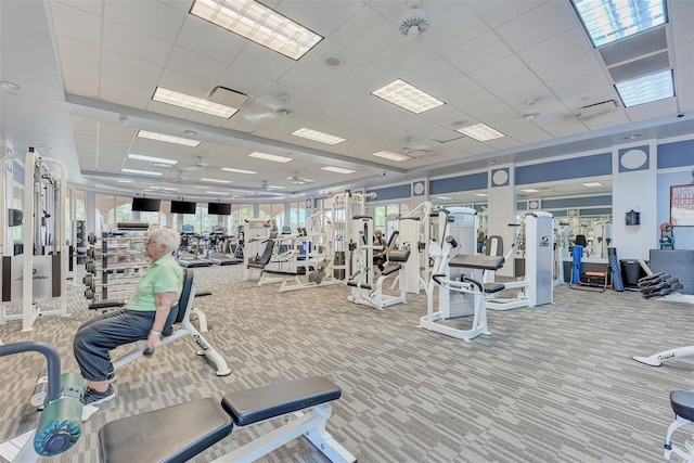 workout area with a paneled ceiling and carpet floors