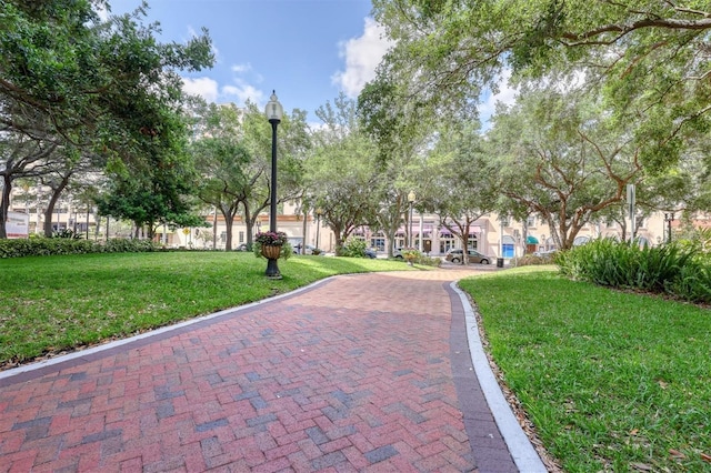 view of property's community with a yard