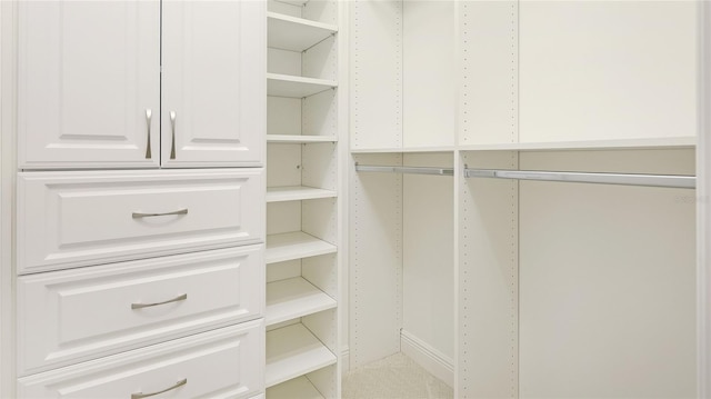 view of spacious closet