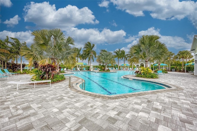 view of swimming pool with a patio