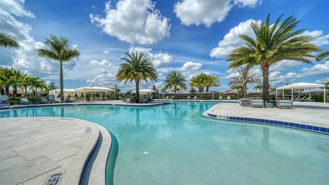 view of pool featuring a patio