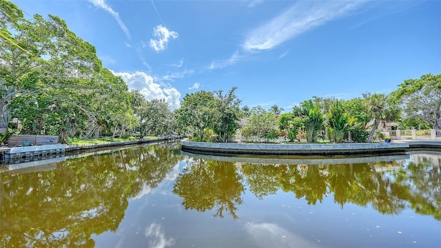 view of water feature