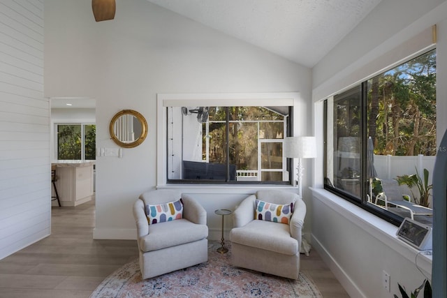 living area featuring high vaulted ceiling, a textured ceiling, and light wood-type flooring