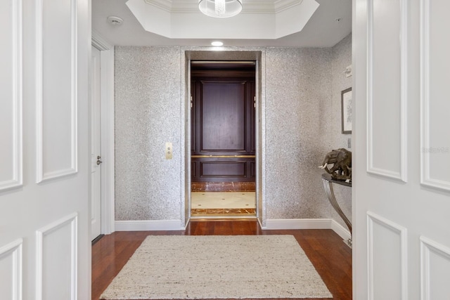 hall with a tray ceiling, dark hardwood / wood-style floors, and ornamental molding