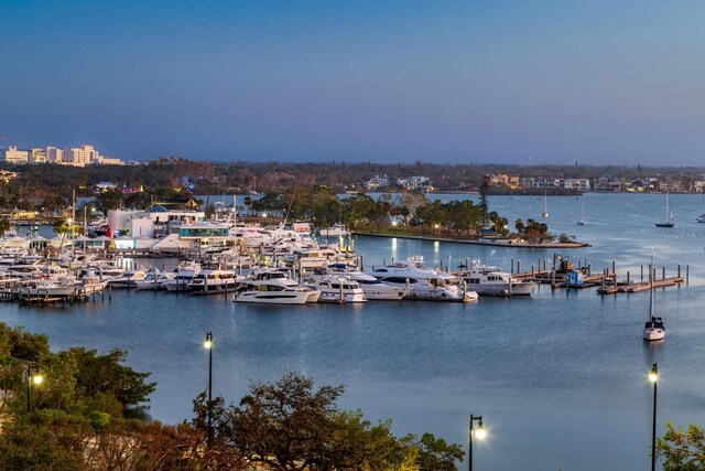 view of water feature featuring a boat dock