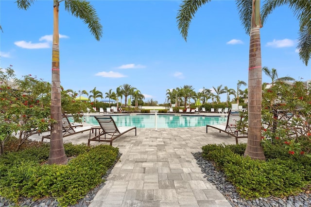 view of swimming pool featuring a patio