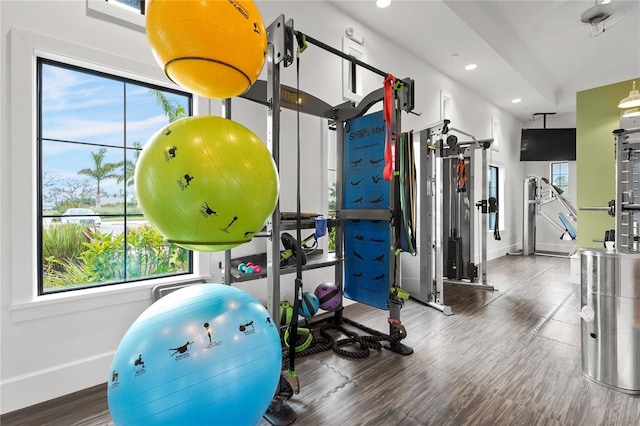 workout area featuring dark hardwood / wood-style floors