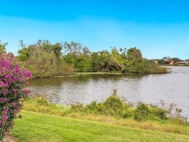 property view of water