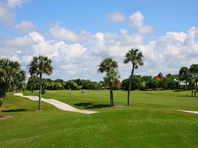 view of community featuring a lawn