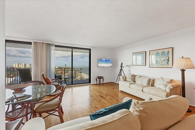 living room featuring a textured ceiling, floor to ceiling windows, wood finished floors, and a city view