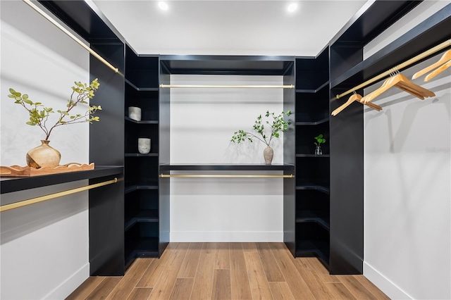 spacious closet with hardwood / wood-style flooring