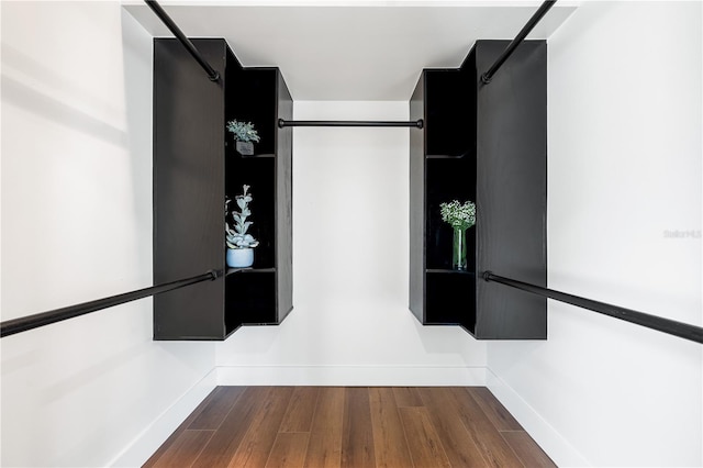 walk in closet featuring wood finished floors