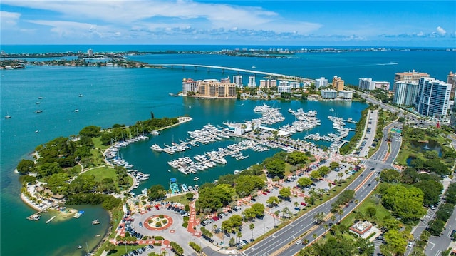 aerial view with a water view and a view of city