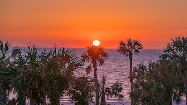 565 Sanctuary Dr Unit A203, Longboat Key, FL 34228 - photo 59