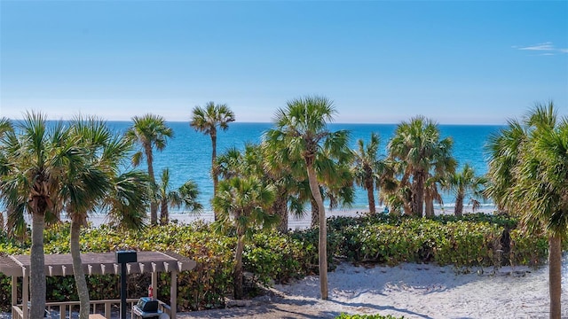 water view featuring a view of the beach