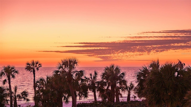 nature at dusk featuring a water view