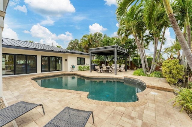 view of pool with a patio