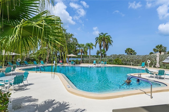 view of pool featuring a patio