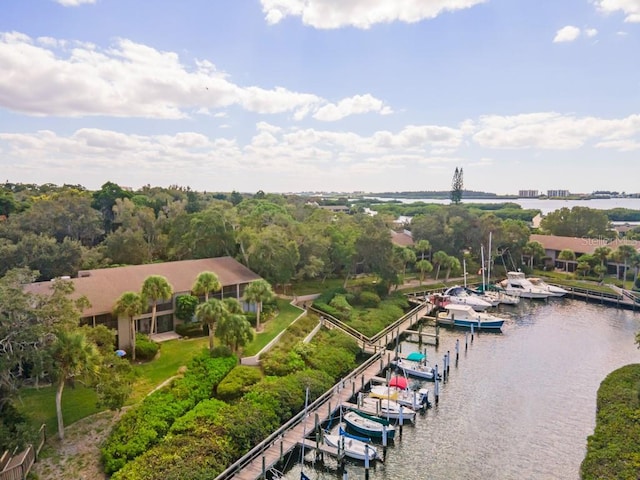 bird's eye view with a water view