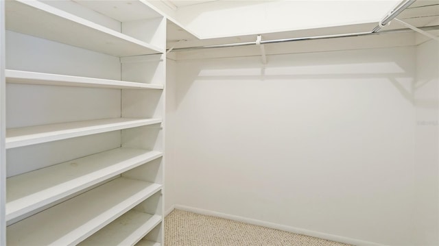 spacious closet with carpet floors