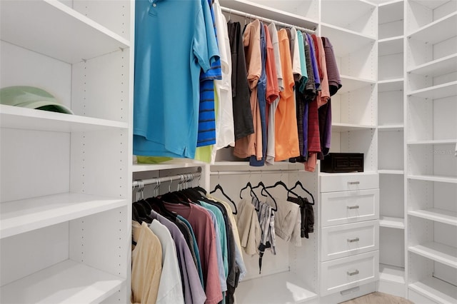 view of spacious closet