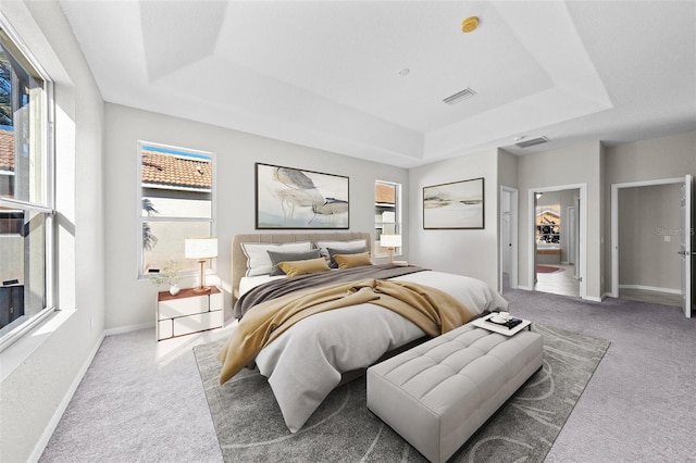 bedroom with carpet floors and a tray ceiling