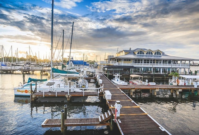 dock area with a water view