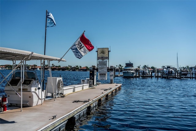 dock area with a water view