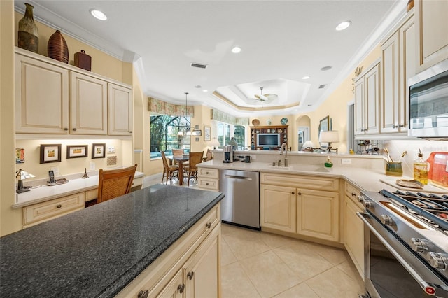 kitchen with a raised ceiling, sink, crown molding, ceiling fan, and appliances with stainless steel finishes