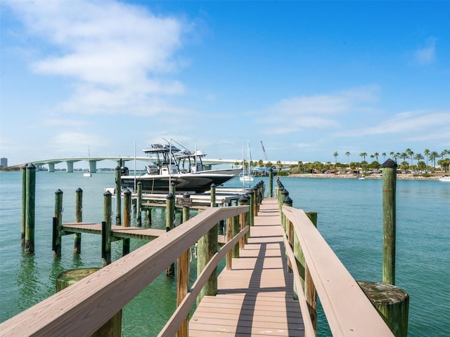 dock area with a water view