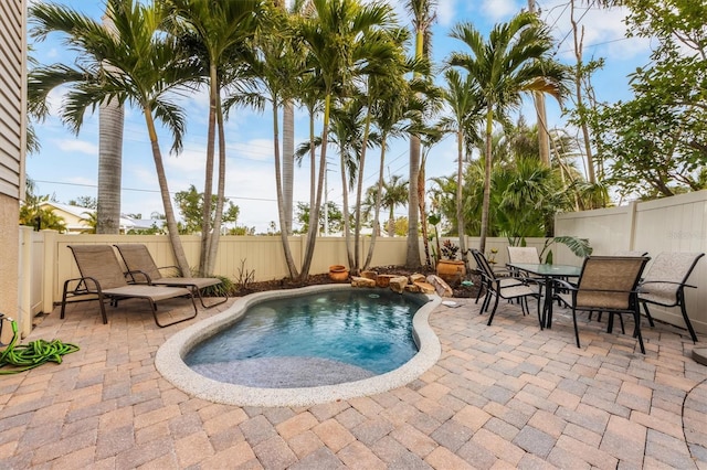 view of pool with a patio area