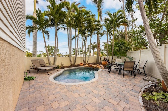 view of pool with a patio area