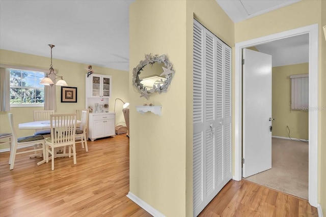 hall featuring a chandelier and light hardwood / wood-style floors