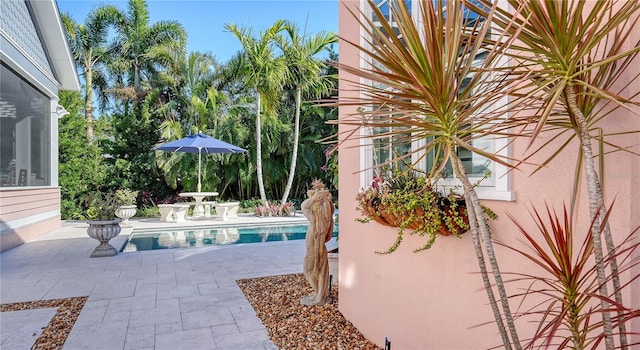 view of swimming pool with a patio