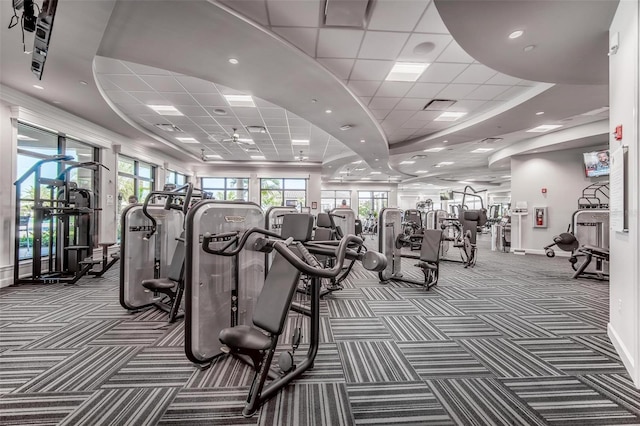 workout area featuring a paneled ceiling, a healthy amount of sunlight, and carpet floors