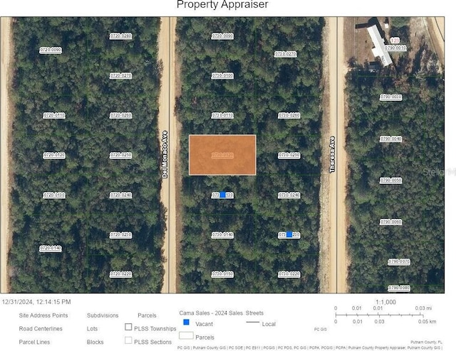 0 Del Monaco Ave, Interlachen FL, 32148 land for sale