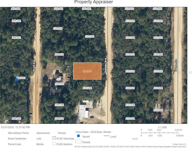 Neilsen Ave, Interlachen FL, 32148 land for sale